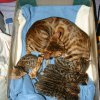240116_sans titre_036-3